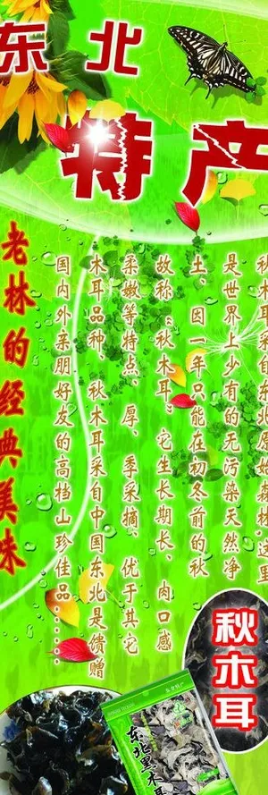 东北特产x展架图片 东北特产x展架图片