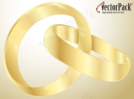 矢量戒指 矢量戒指