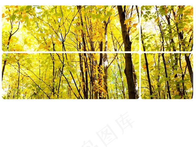 森林风景背景ppt模板