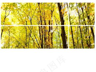 森林风景背景ppt模板