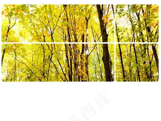 森林风景背景ppt模板