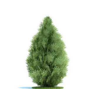 扁柏3D模型，树木3D模型免费下载...