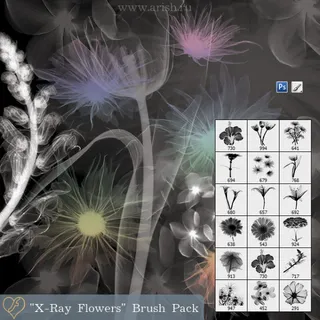 X射线透视花卉特效PS笔刷 X射线透视花卉特效PS笔刷