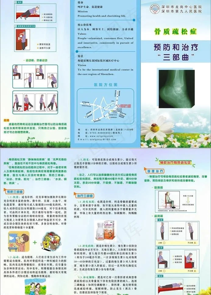 骨质疏松预防和治疗三折页图片cdr矢量模版下载
