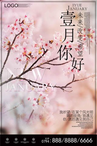 2018粉色清新你好一月海报设计
