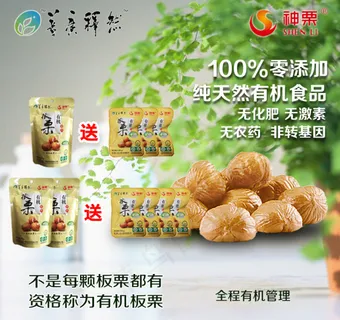 板栗神栗有机板栗无化肥无激素