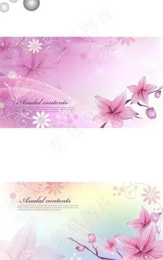 精美矢量花朵图片