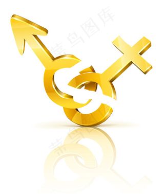 三维的男性和女性的金钥匙符号矢量