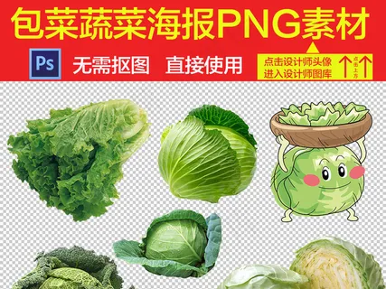 包菜蔬菜海报PNG素材集合