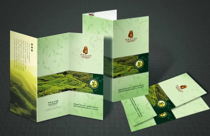 茶牌三折页图片cdr矢量模版下载
