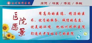 原康卫生院医院愿景