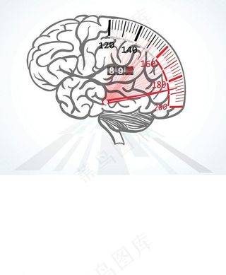 人脑大脑结构设计图片