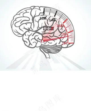 人脑大脑结构设计图片