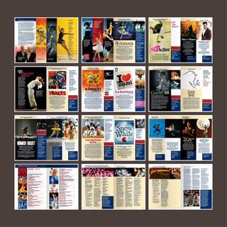 舞蹈剧院演出宣传画册