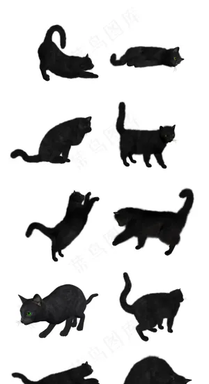 手抄报元素卡通画矢量素材可爱黑猫猫...