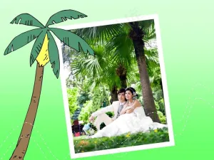 婚纱摄影艺术PPT模板预览图