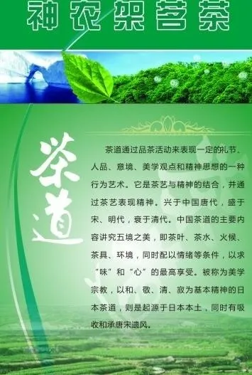 茶叶海报图片cdr矢量模版下载