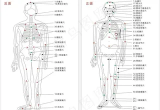 穴位图图片