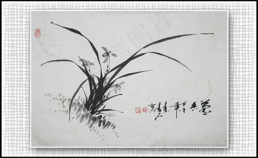 青石国画兰花图片 青石国画兰花图片