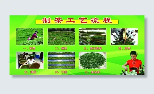 制茶工艺流程图片 制茶工艺流程图片