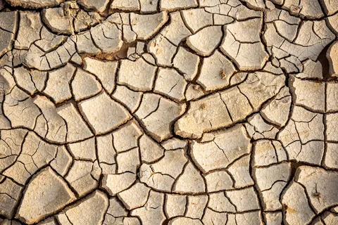 干旱的土地裂缝 干旱的土地裂缝