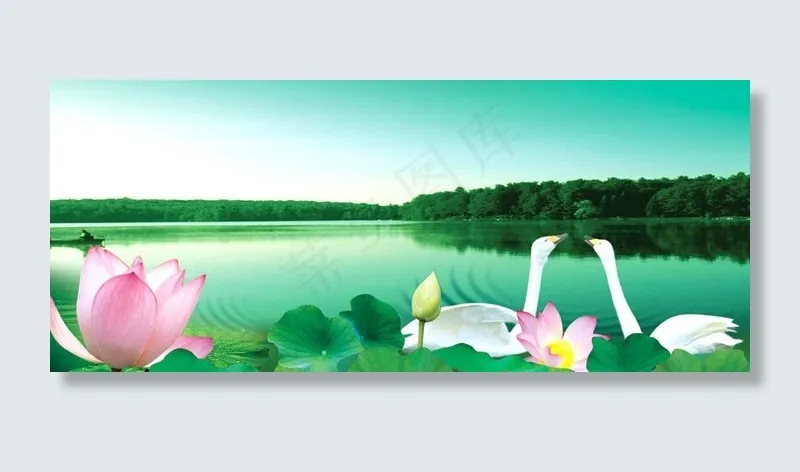 天鹅湖图片(3671X1772(DPI:300))psd模版下载