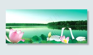天鹅湖图片