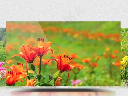 春游森林绿色春意背包旅游拍照