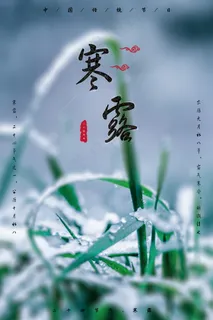 寒露节气海报二十四节气海报