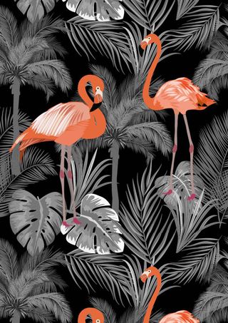 火烈鸟植物花卉背景图案