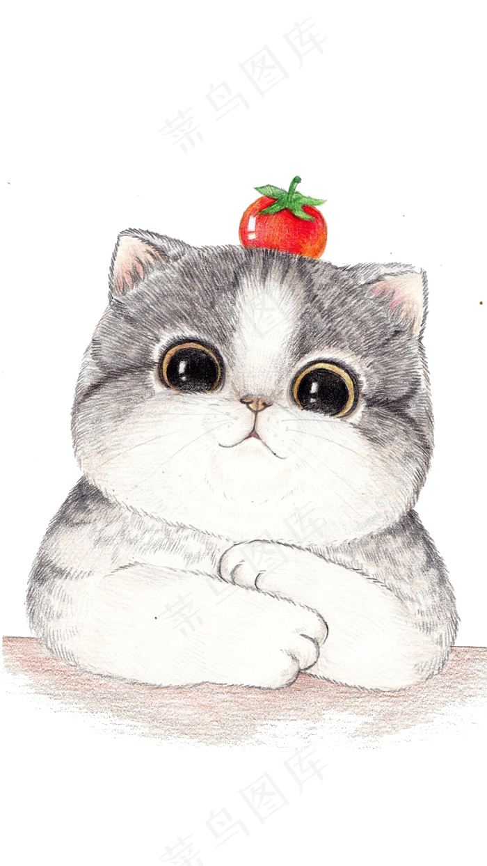 手绘大脸猫咪