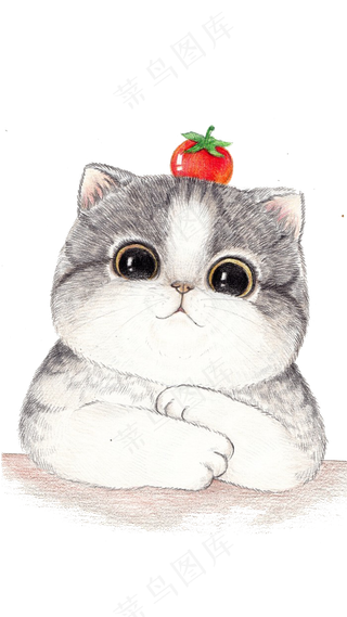 手绘大脸猫咪