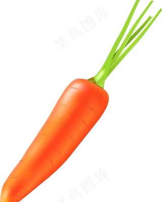 胡萝卜图片
