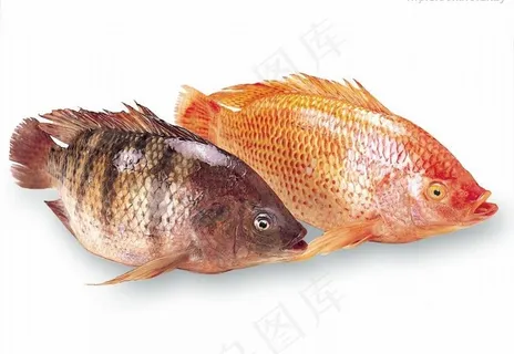 7月(台灣雕) 7月(台灣雕)