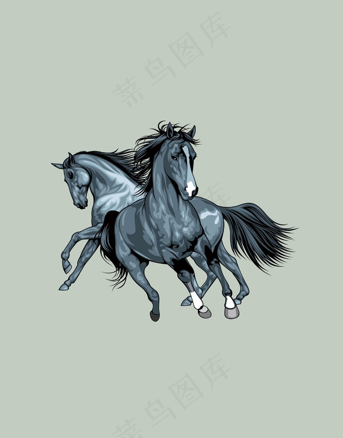 骏马马黑白马插画