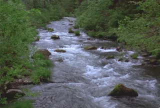 水流背景视频素材
