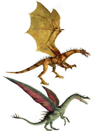 飞龙素材分层免扣大图