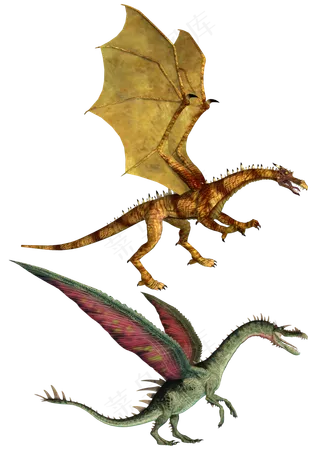 飞龙素材分层免扣大图