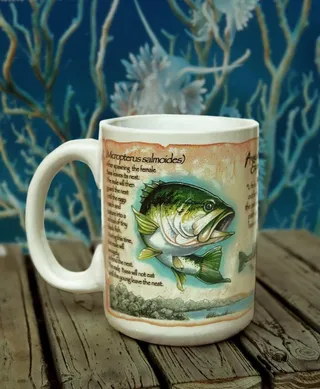 美国探险杯子鱼类图案图片