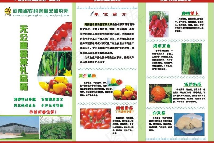 精品蔬菜三折页图片cdr矢量模版下载