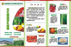 精品蔬菜三折页图片