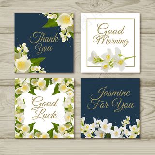 清雅茉莉花矢量背景