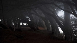 高清电脑桌面背景壁纸