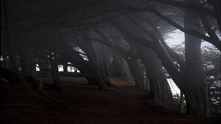 高清电脑桌面背景壁纸