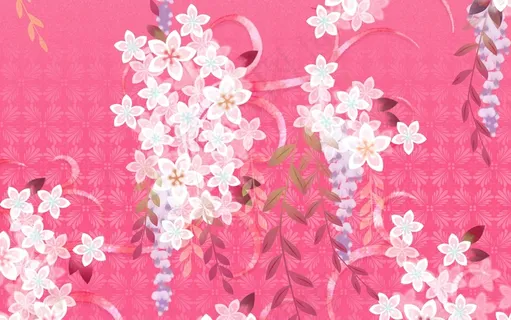 白色花朵背景图片 白色花朵背景图片