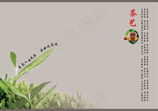 简洁茶叶画册内页设计psd模版下载