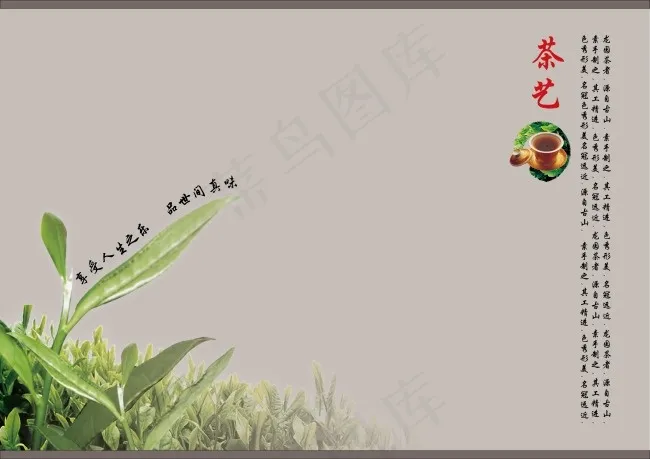 简洁茶叶画册内页设计psd模版下载
