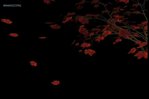 枫叶飘动视频素材