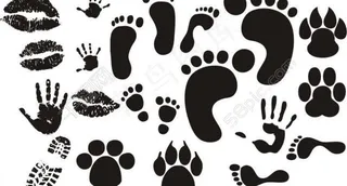 各种脚印手印图片