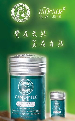 美舍雅阁宣传海报图片